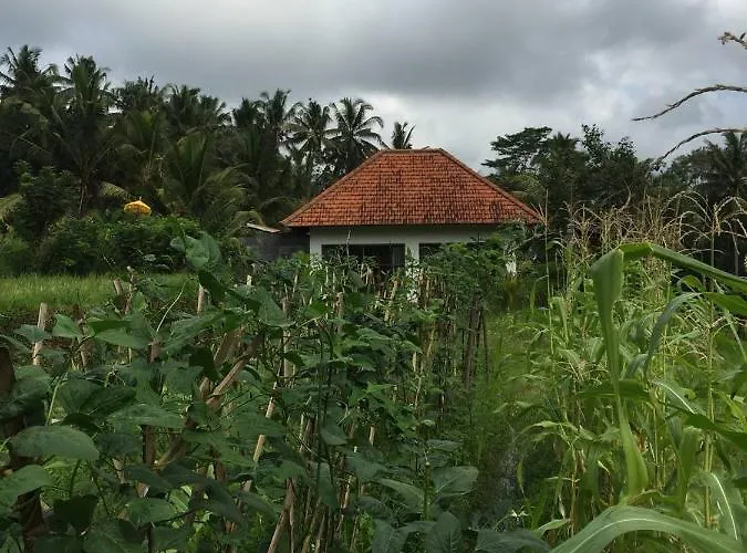 Uma Mupu Villa Payangan