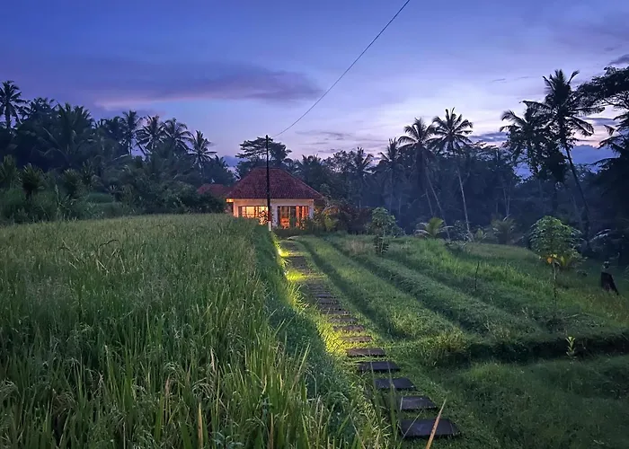 Uma Mupu Payangan